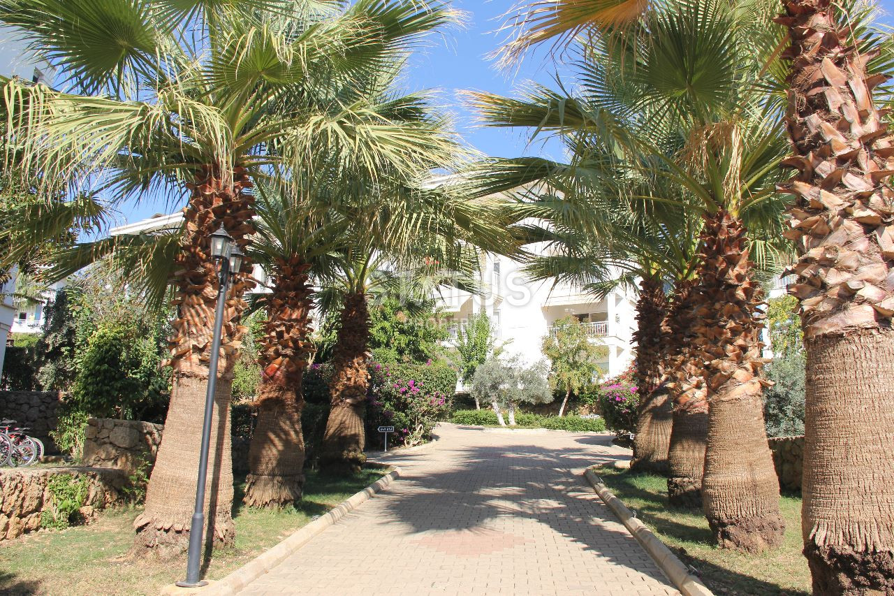 Spacious three-room apartment with household appliances in OBA. 110m2 фото 21