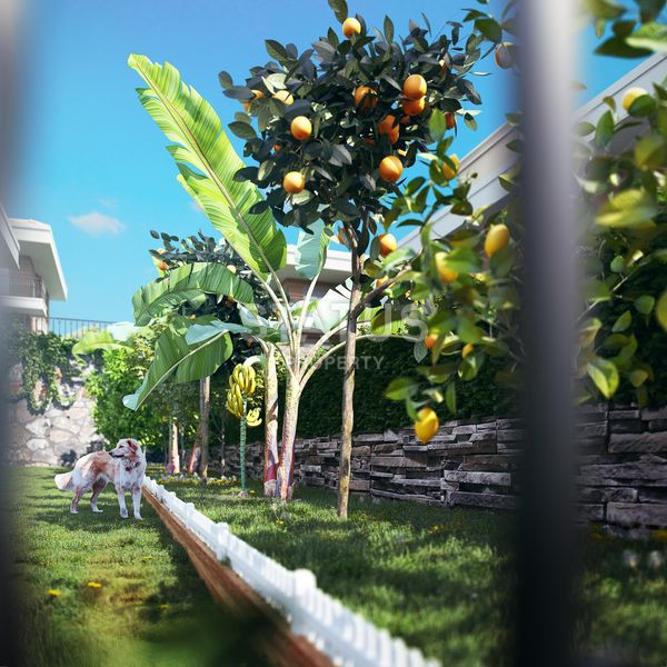 Advantageous offer of apartments in semi-detached four-bedroom villas in Kargicak.160m2+220m2 фото 4