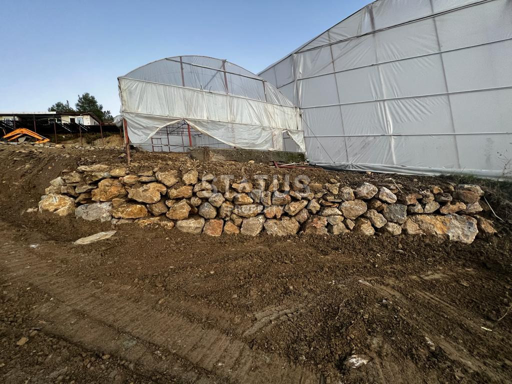 Ready land for planting avocados and bananas in Demirtas фото 4