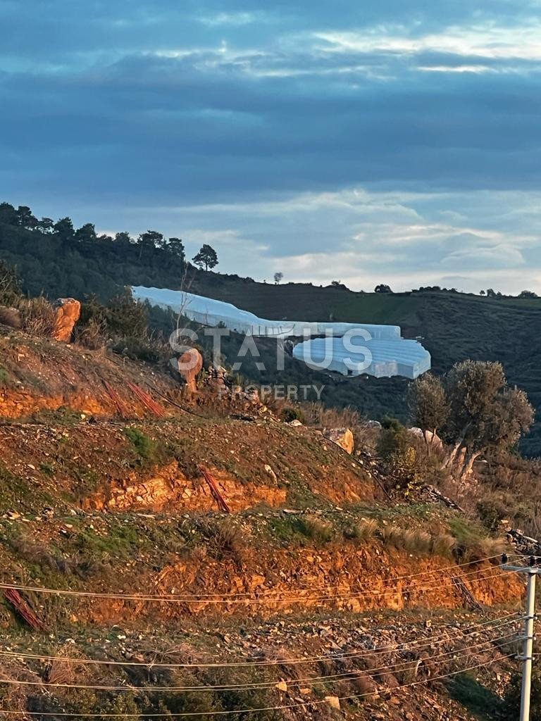 Ready land for planting avocados and bananas in Demirtas фото 5
