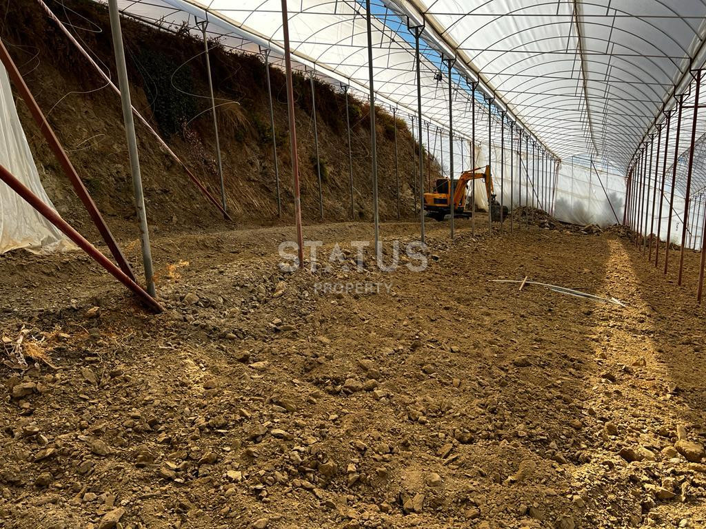 Ready land for planting avocados and bananas in Demirtas фото 13