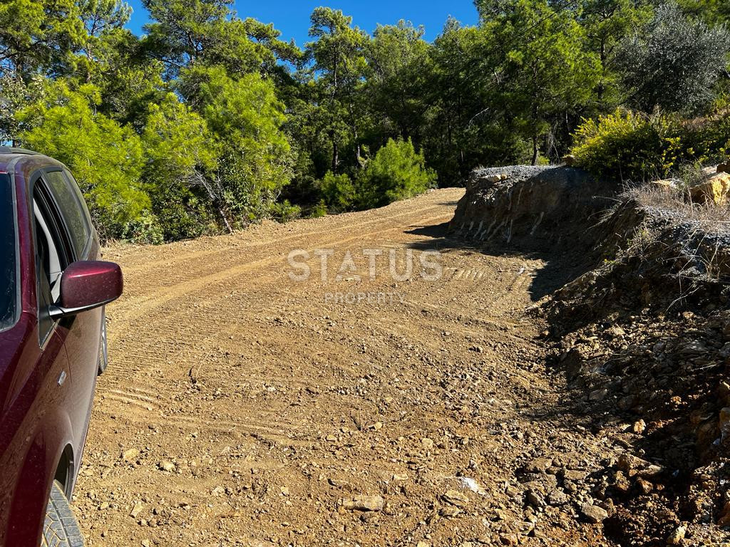 Ready land for planting avocados and bananas in Demirtas фото 15