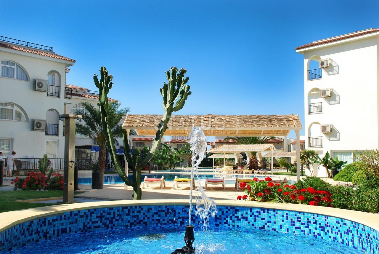 4-комнатный пентхаус в 200 метрах от моря, 188 м2 фото 5