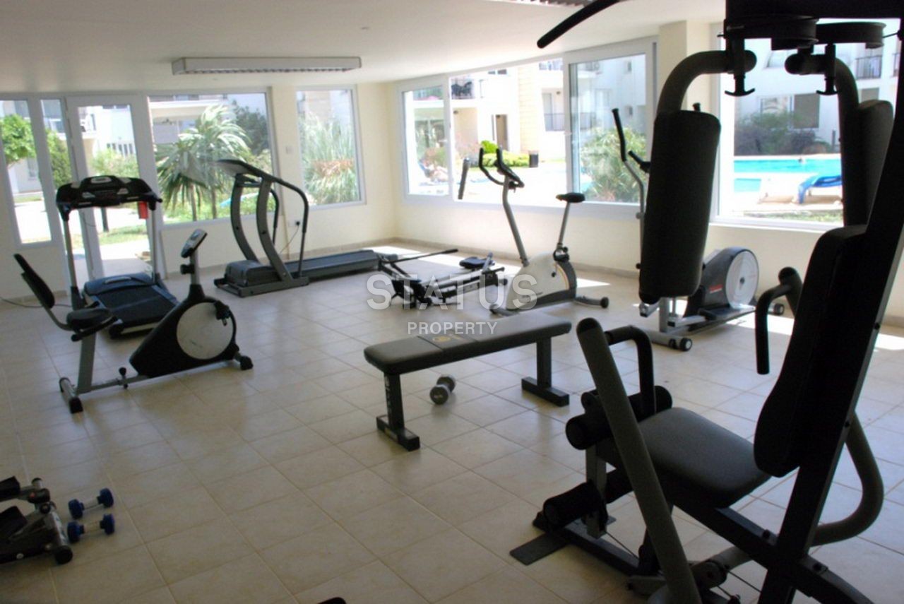 4-комнатный пентхаус в 200 метрах от моря, 188 м2 фото 14