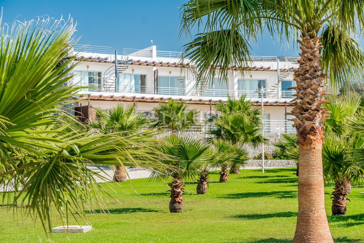 2-комнатные  апартаменты с полной меблировкой в 100 метрах от пляжа, 57 м2 фото 46