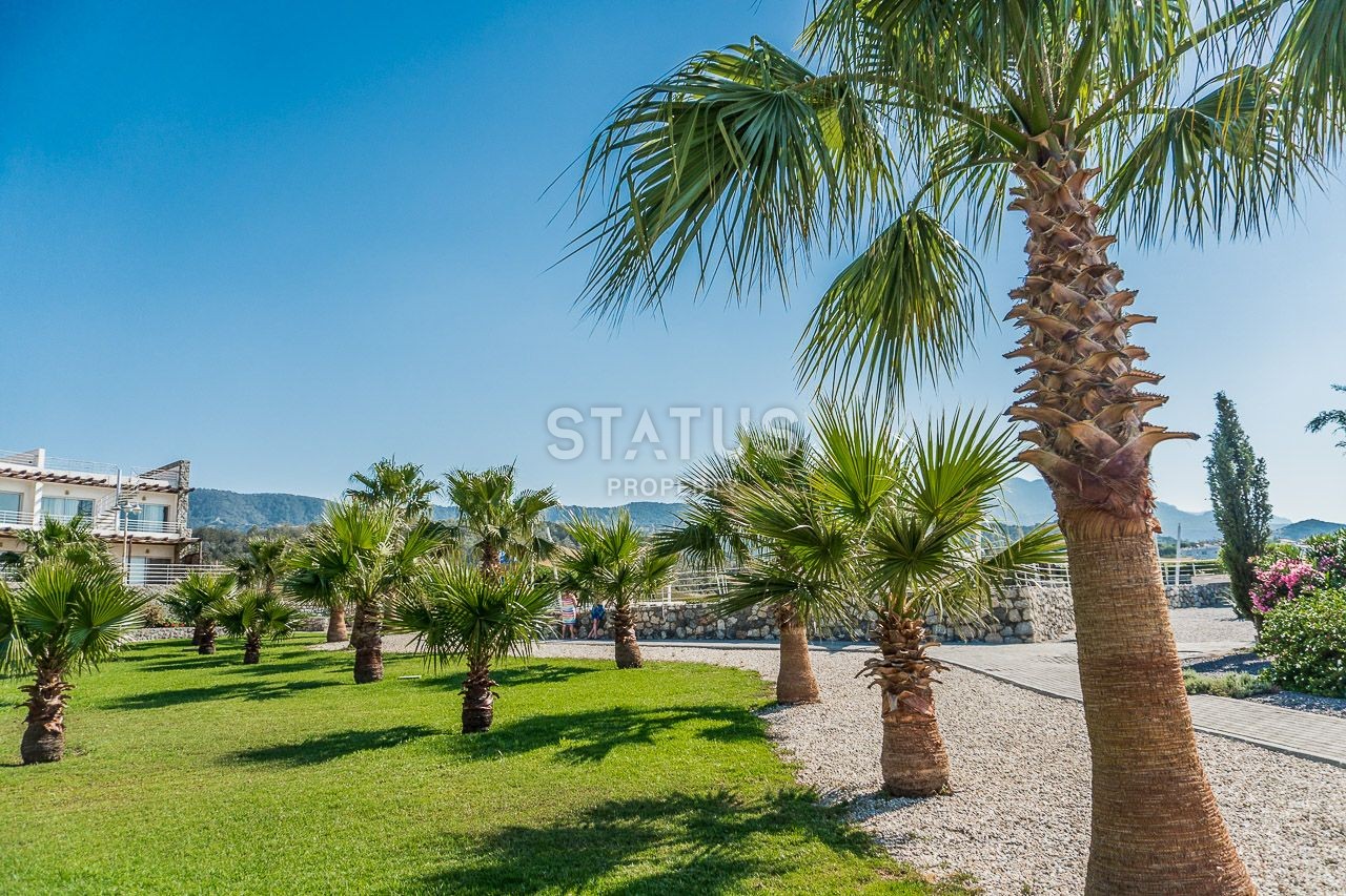 2-комнатные  апартаменты с полной меблировкой в 100 метрах от пляжа, 57 м2 фото 48