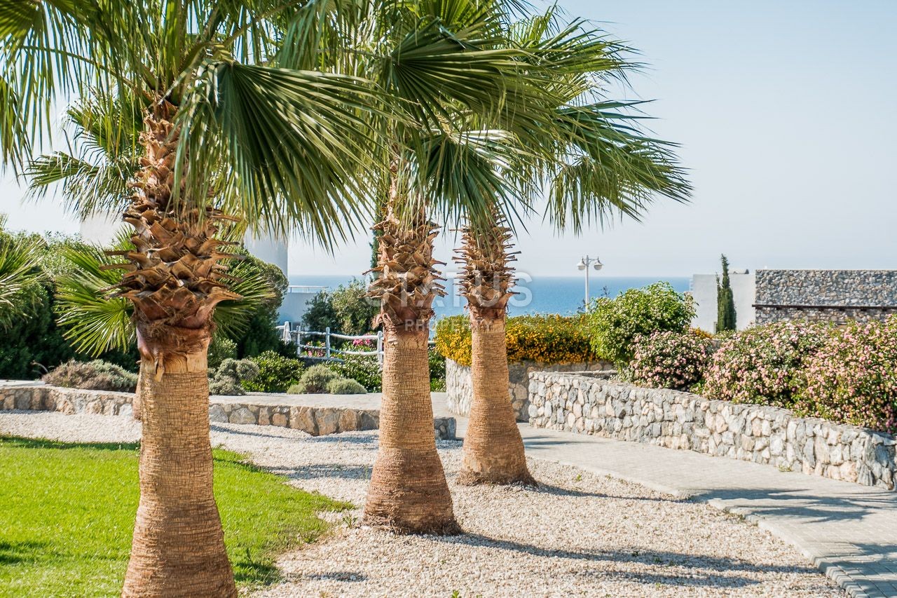 2-комнатные  апартаменты с полной меблировкой в 100 метрах от пляжа, 57 м2 фото 50