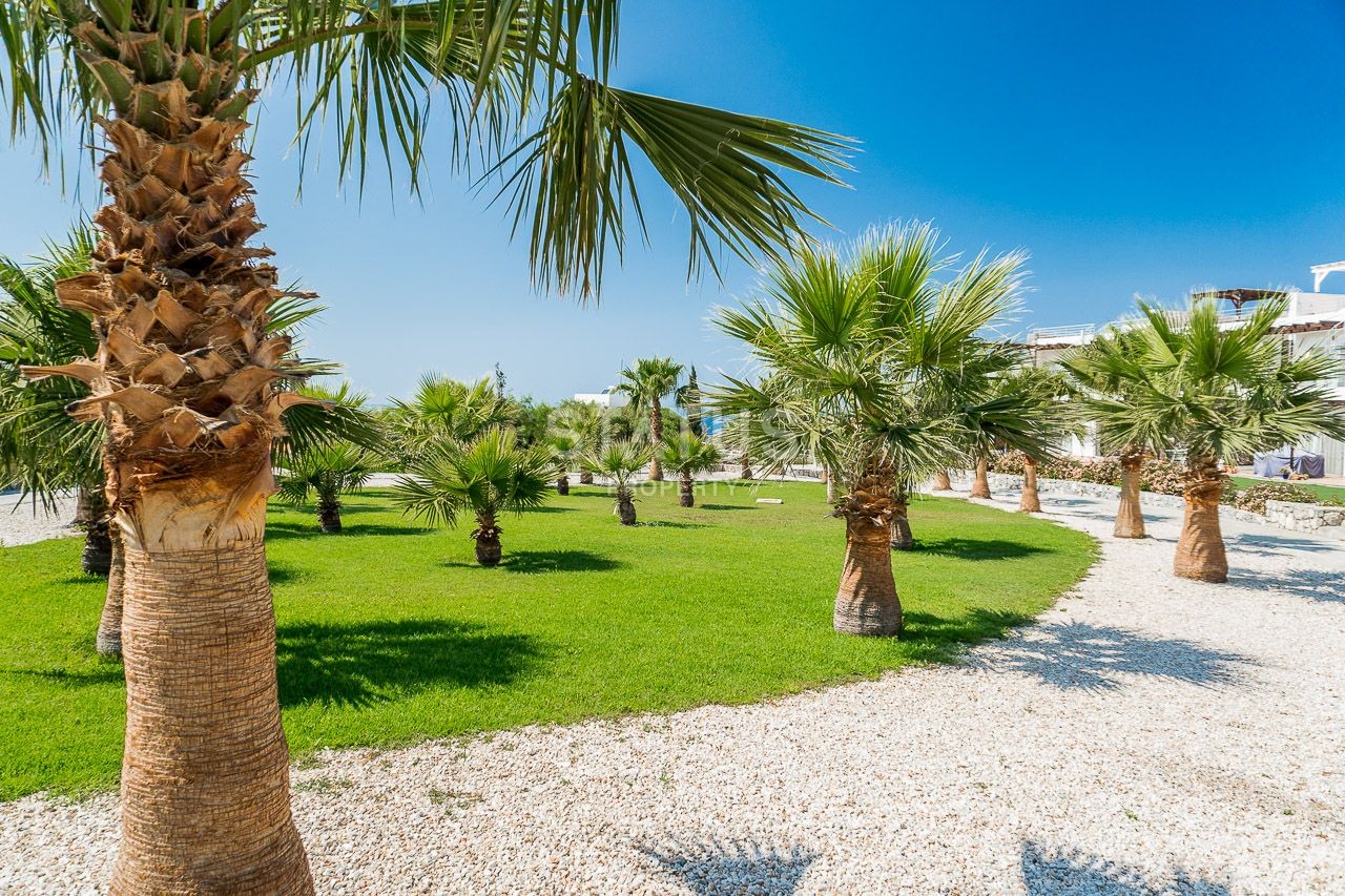 2-комнатные  апартаменты с полной меблировкой в 100 метрах от пляжа, 57 м2 фото 63