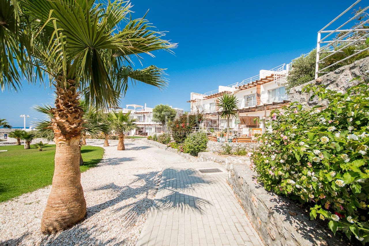 2-комнатные  апартаменты с полной меблировкой в 100 метрах от пляжа, 57 м2 фото 66