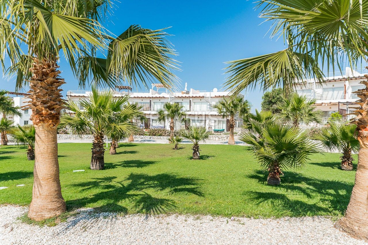 2-комнатные  апартаменты с полной меблировкой в 100 метрах от пляжа, 57 м2 фото 82