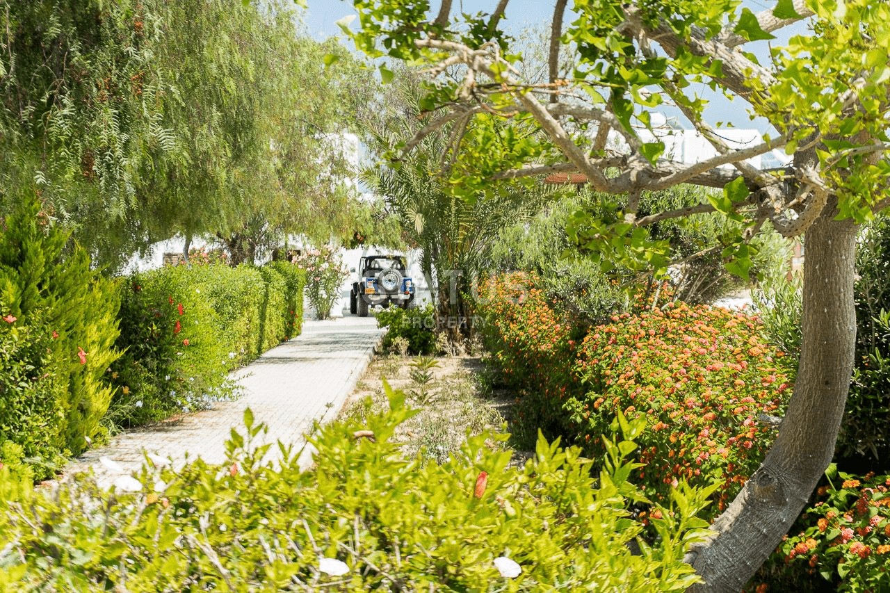 Готовая 5-комнатная вилла 186 м2 в 200 метрах от пляжа фото 36