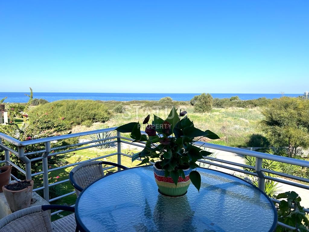 Three-room apartment 100 m?+30 m? terrace in a cozy complex by the sea фото 3