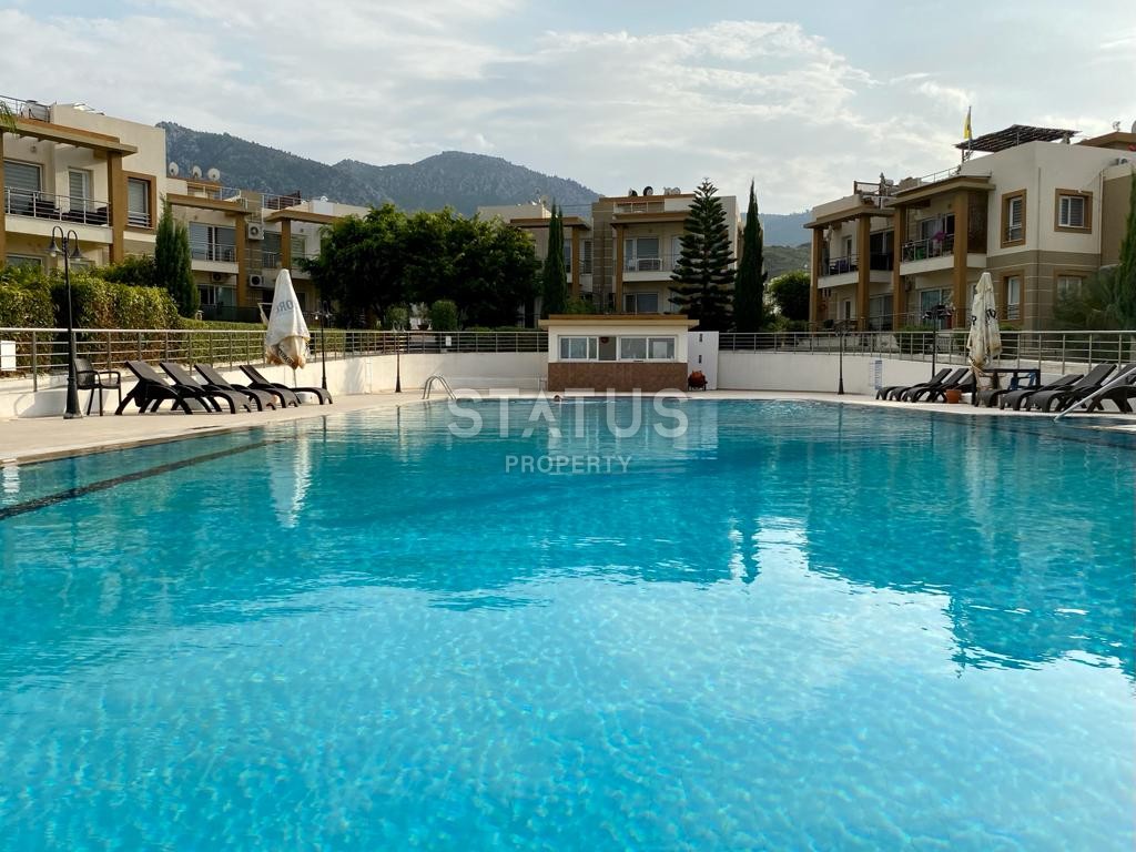 3-комнатные апартаменты 74 м? в 5 минутах от пляжа фото 8