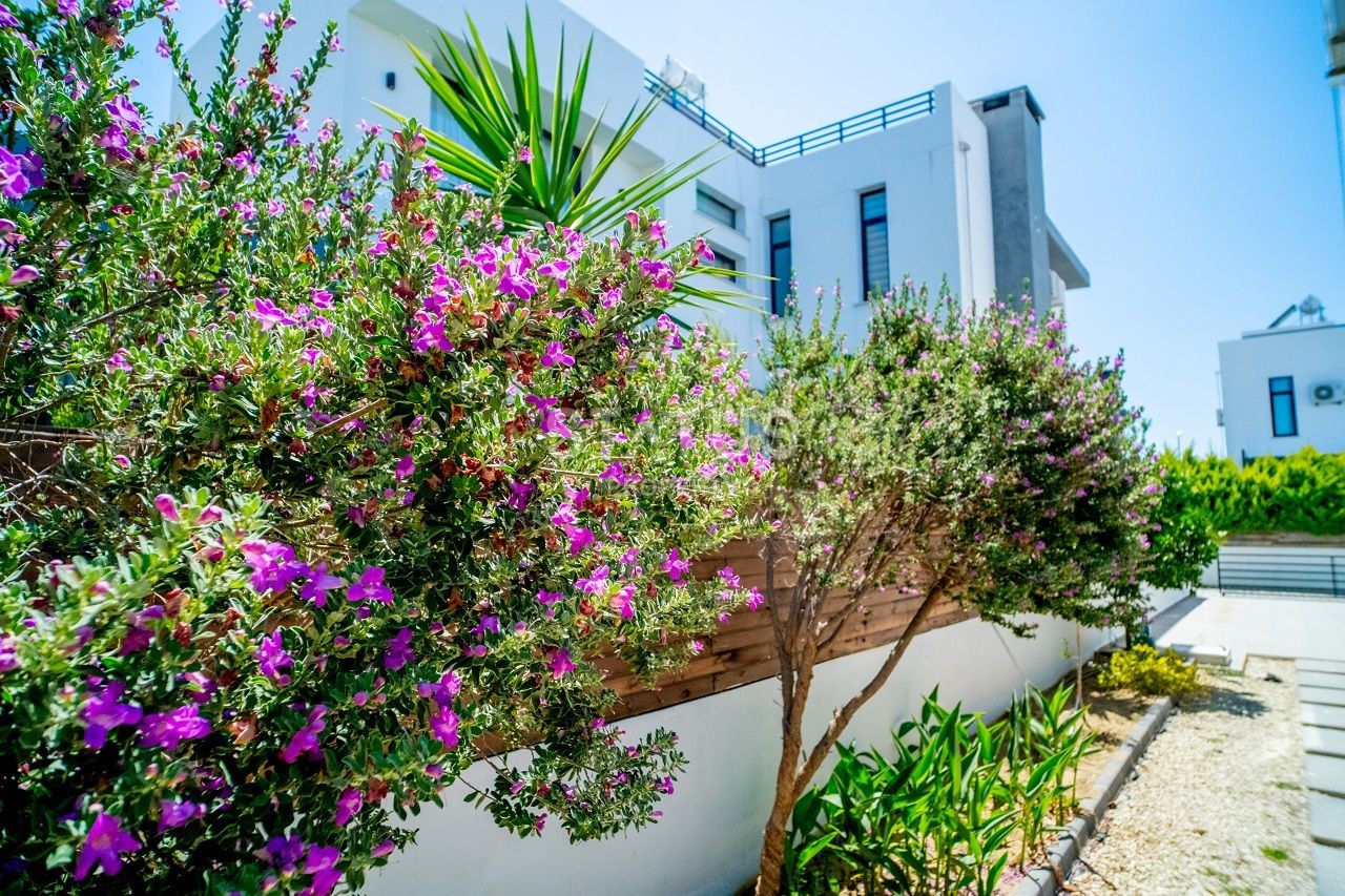 Вилла 3+1 (213 м?) в 750 метрах от моря фото 48