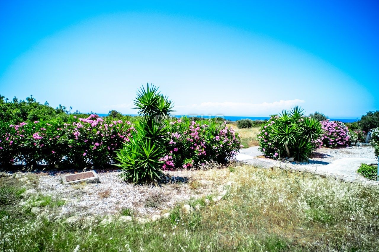 Трехкомнатная квартира 97 м? с террасой 20 м? в красивом комплексе у моря фото 15