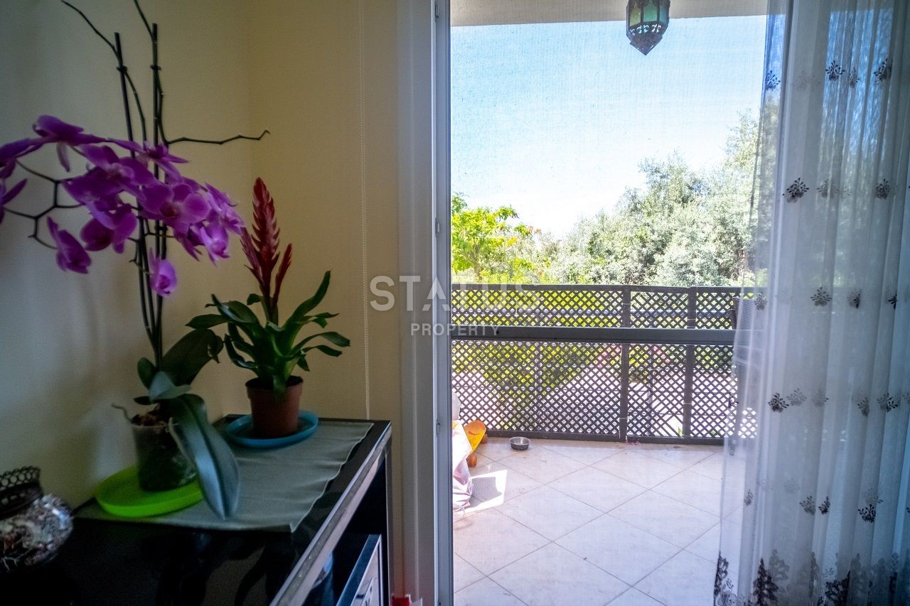 Квартира 3+1(130 м?) с двумя балконами в Алсанджаке фото 44