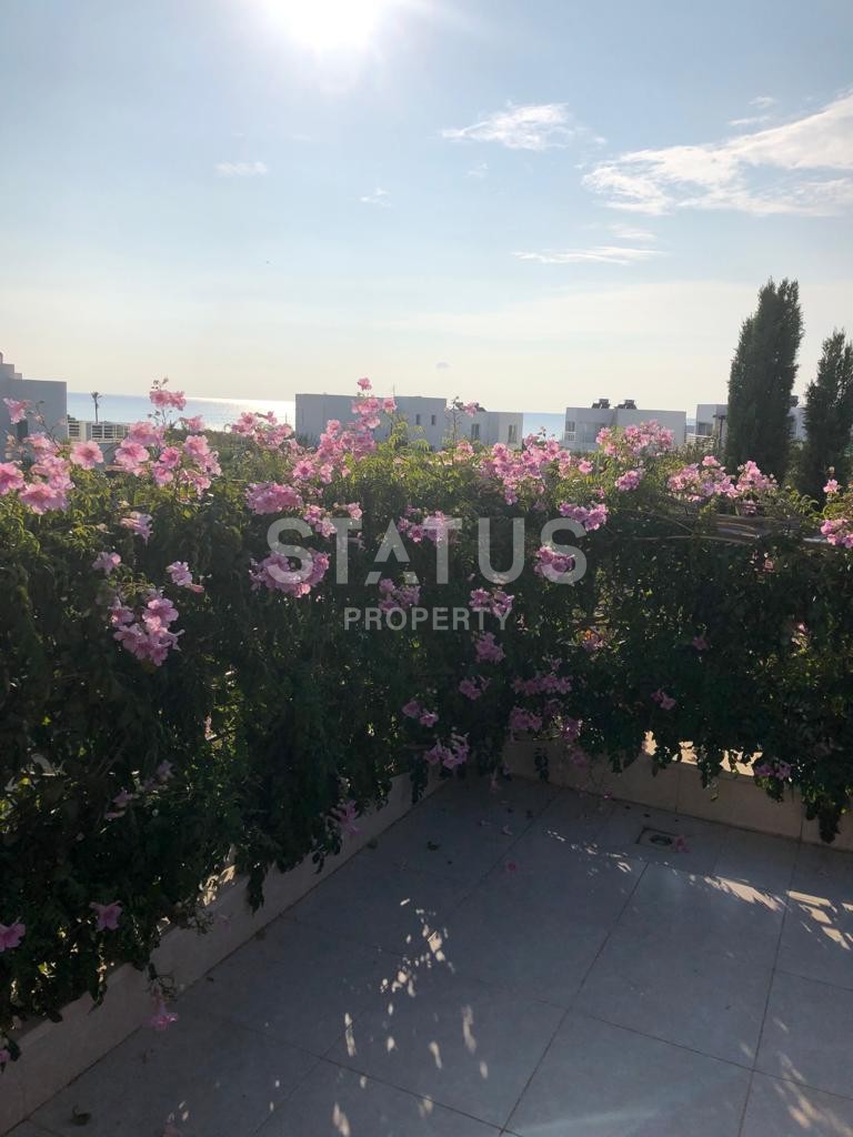 Cozy villa (3+1) 148 m? with swimming pool 220 meters from the sea фото 17