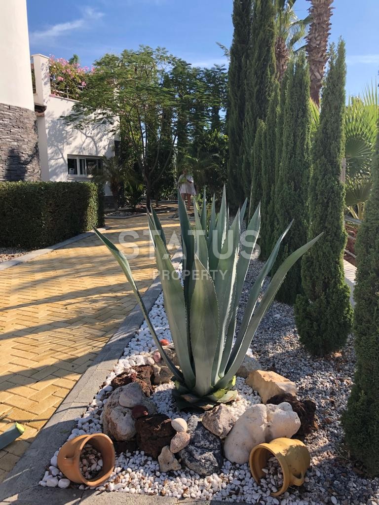 Cozy villa (3+1) 148 m? with swimming pool 220 meters from the sea фото 24