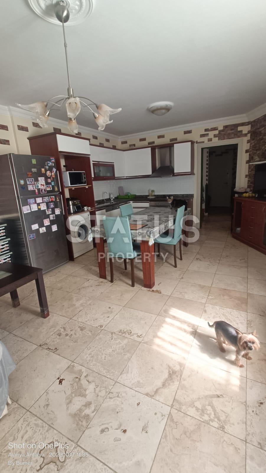 Duplex with jacuzzi 4+1 in Mahmutlar, 170 m2 фото 5