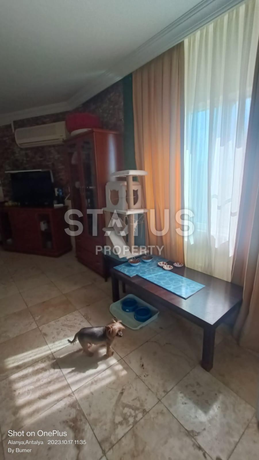 Duplex with jacuzzi 4+1 in Mahmutlar, 170 m2 фото 6