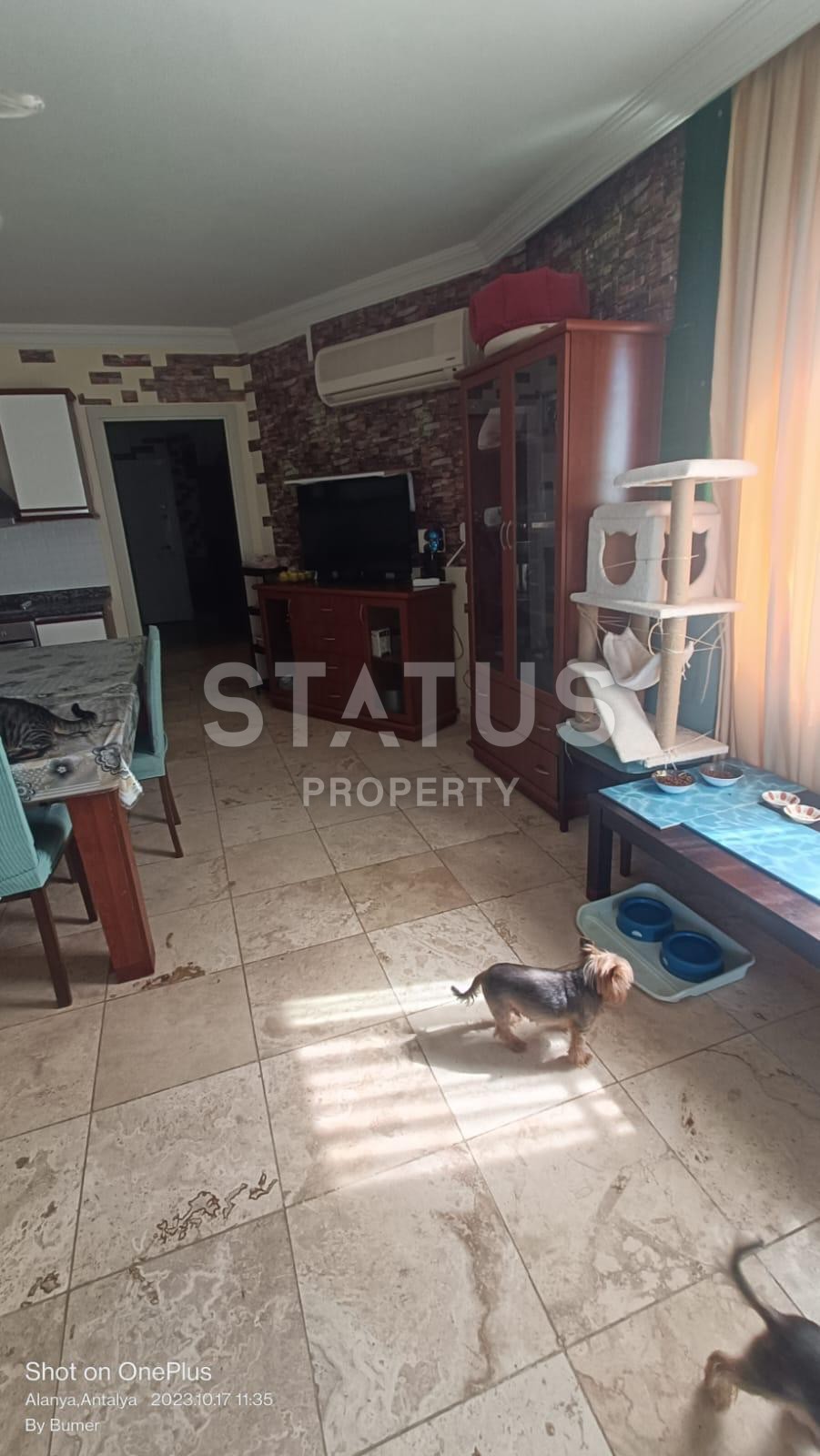 Duplex with jacuzzi 4+1 in Mahmutlar, 170 m2 фото 39