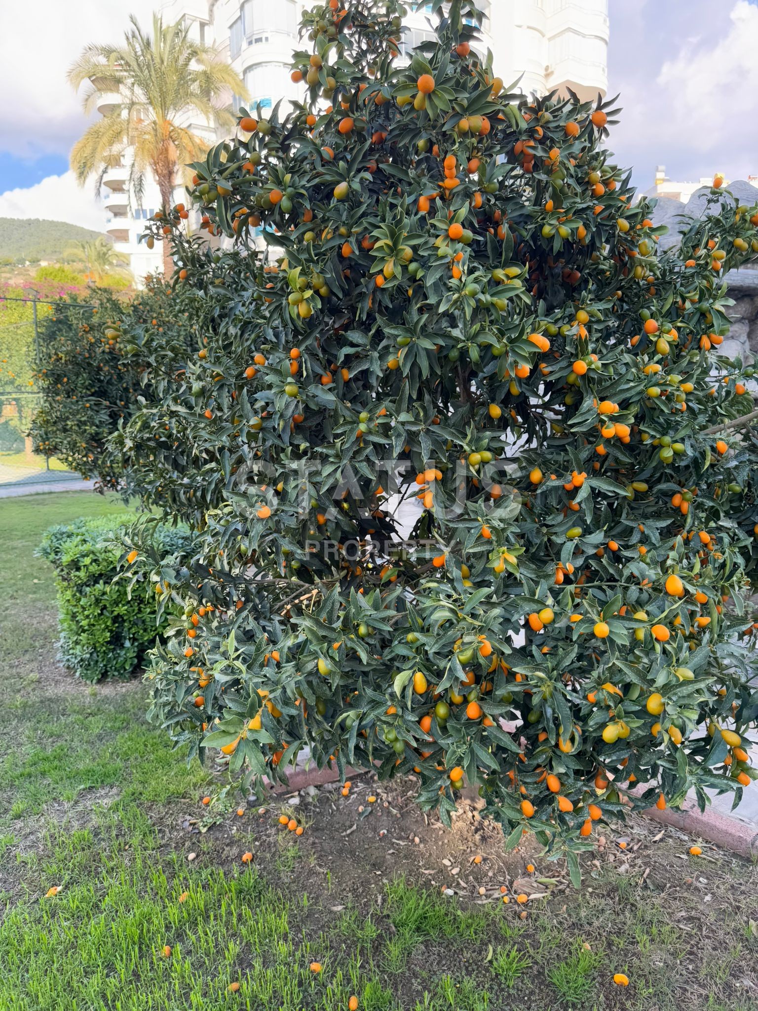 Квартира 1+1 с мебелью в районе Джикджилли, 65 м2 фото 19