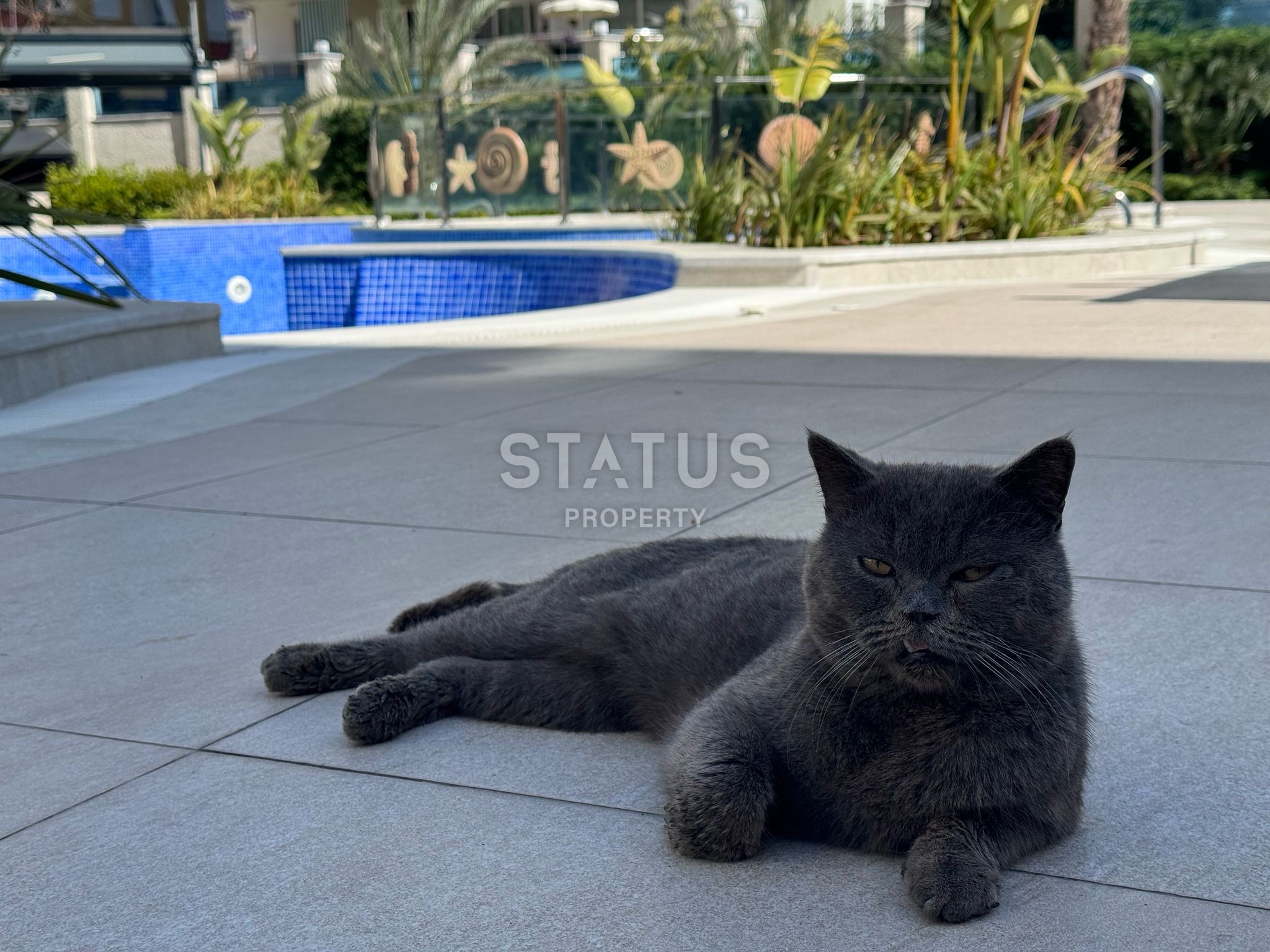 Penthouse 2+1 in a luxury complex, 100 m2 фото 27