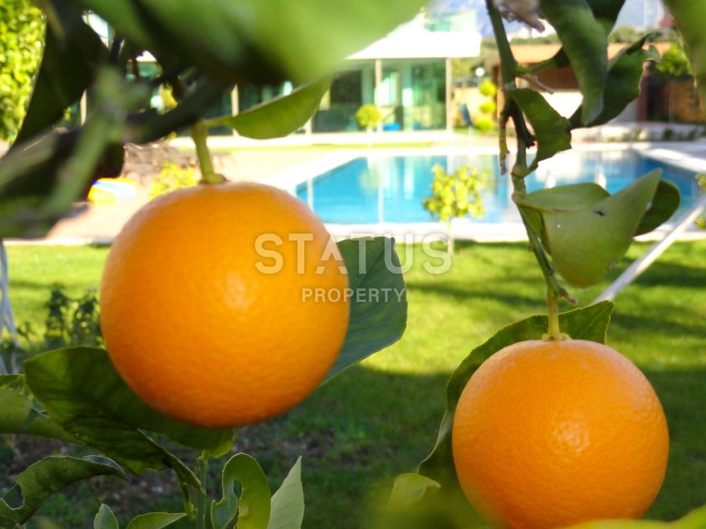 Срочная продажа! Пентхаус 3+1 в шикарном комплексе в Обе! Цена ШОК! фото 4