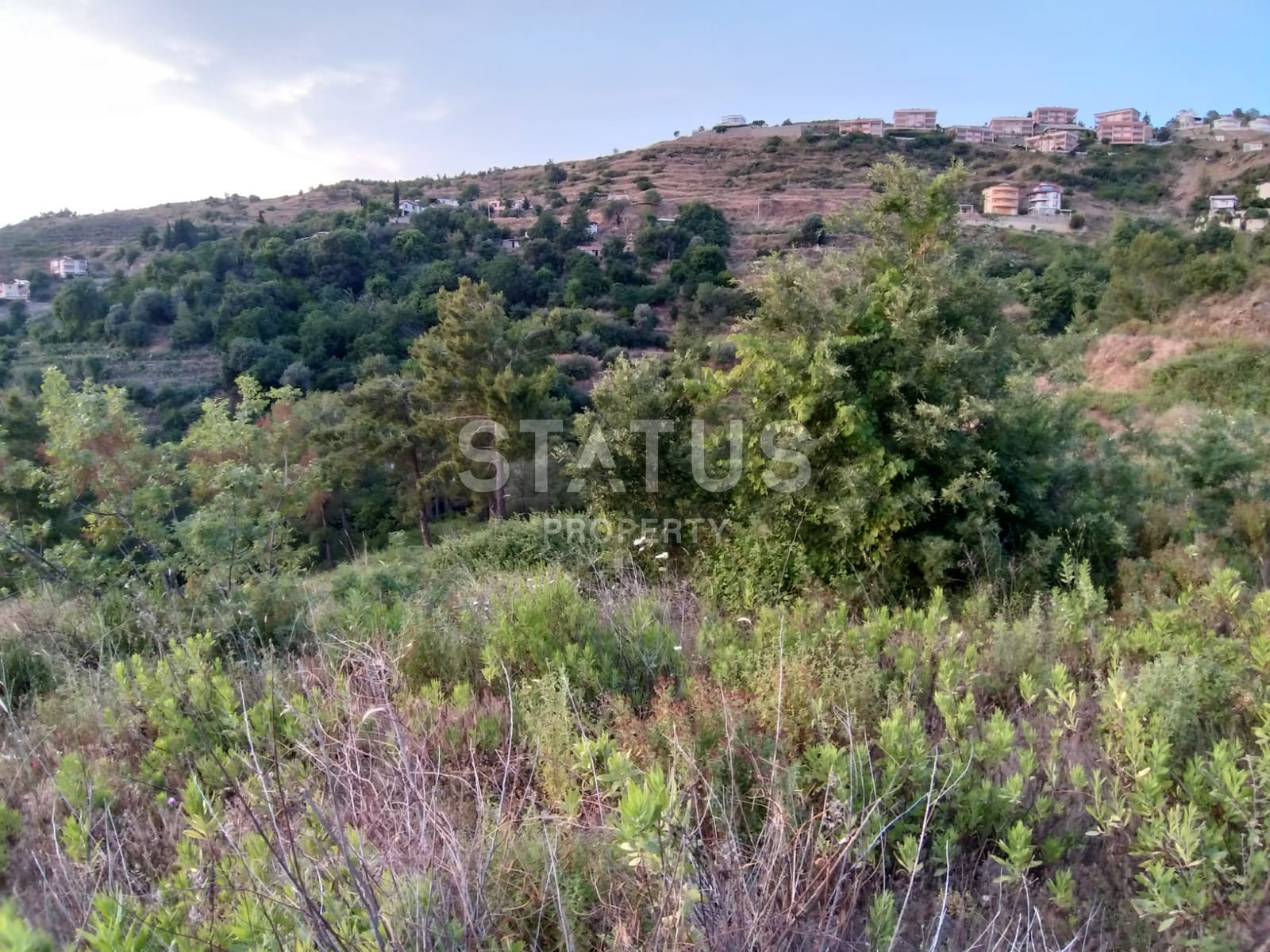 Земельный участок в Каргыджаке под строительство фото 4