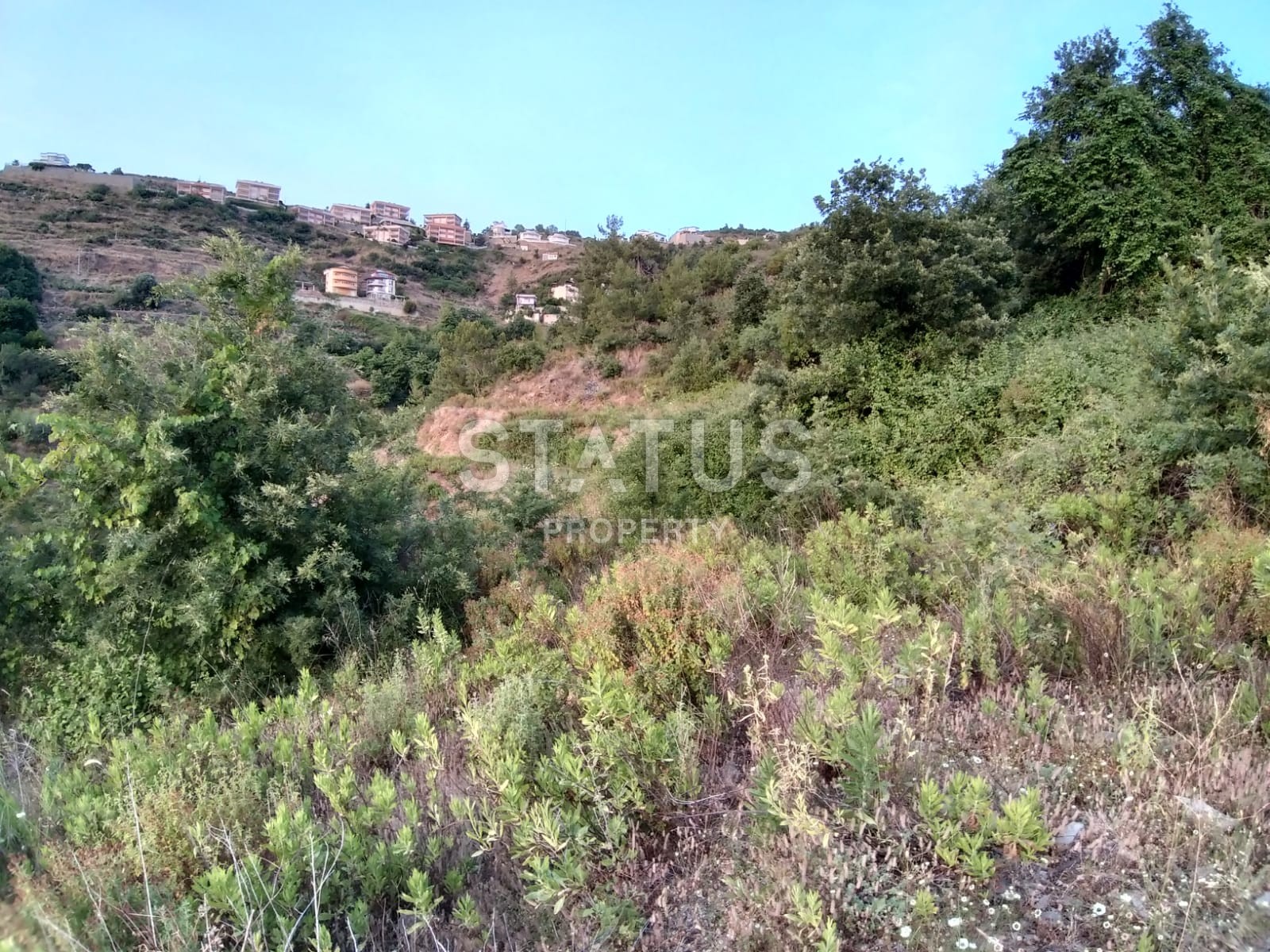 Земельный участок в Каргыджаке под строительство фото 5