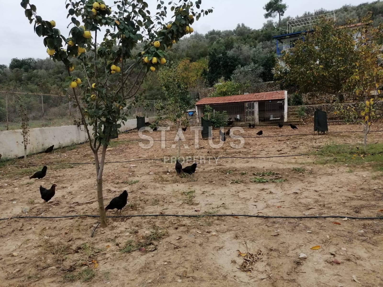 Detached house with a large plot of land in Demirtas, 3222 m2 фото 4