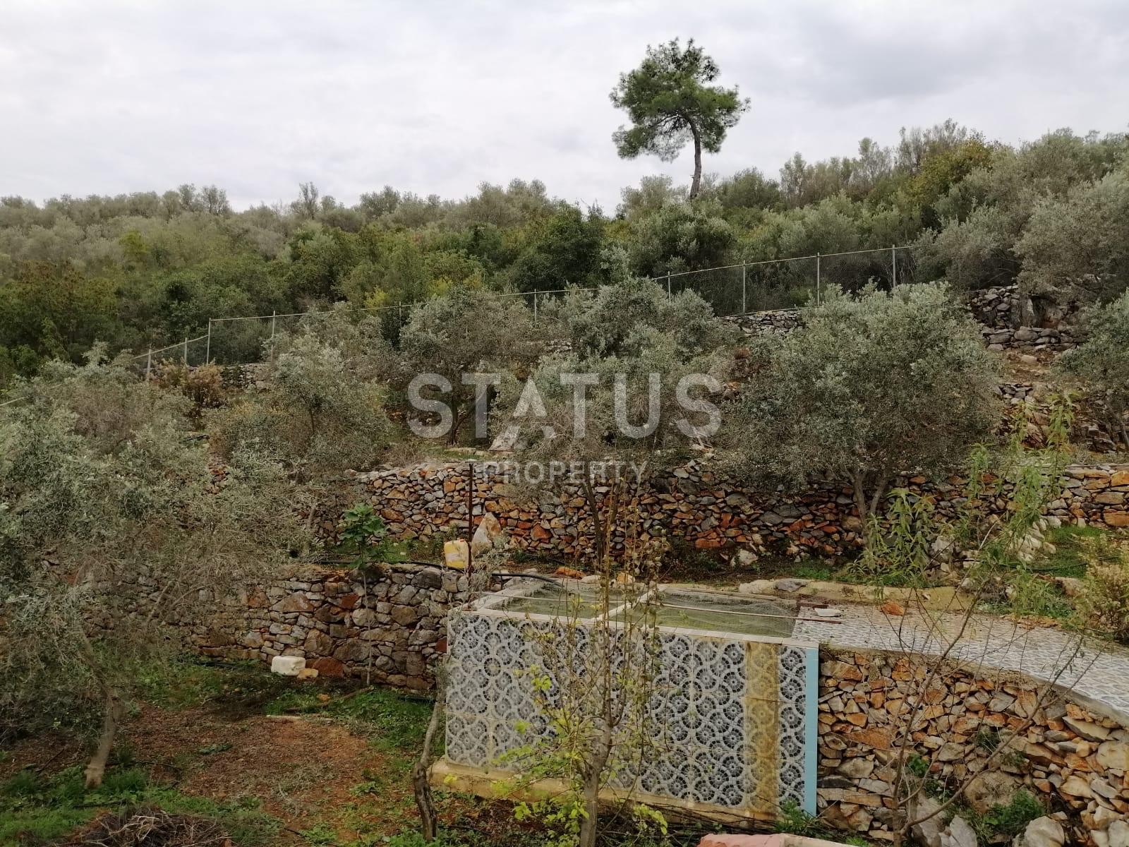 Detached house with a large plot of land in Demirtas, 3222 m2 фото 17