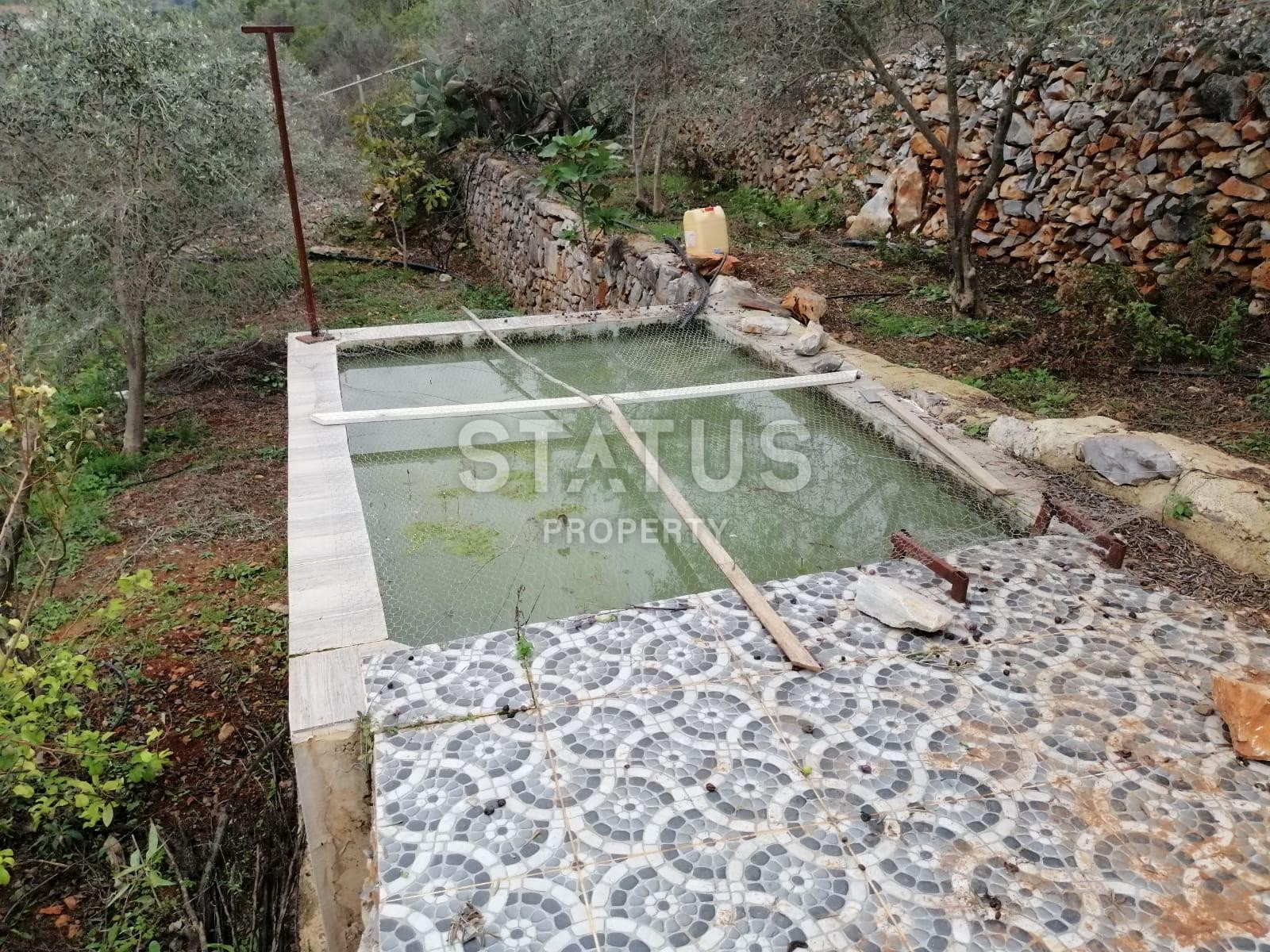 Detached house with a large plot of land in Demirtas, 3222 m2 фото 29