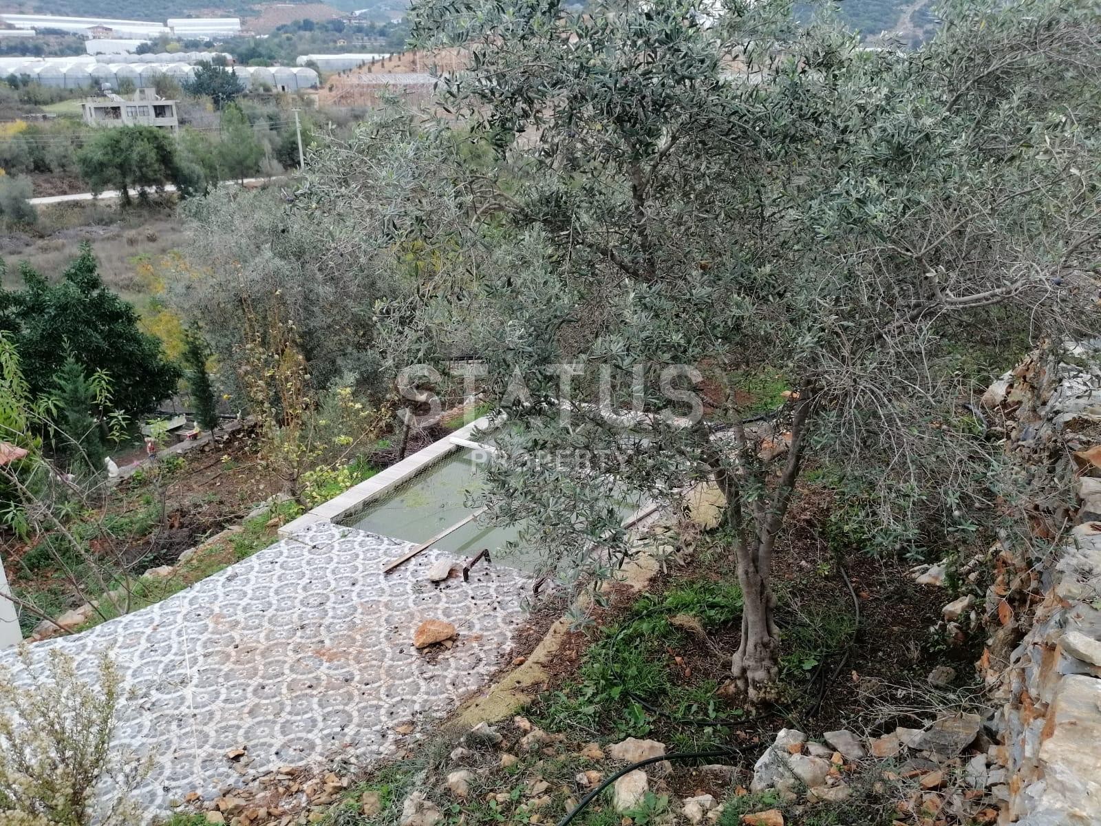 Detached house with a large plot of land in Demirtas, 3222 m2 фото 30
