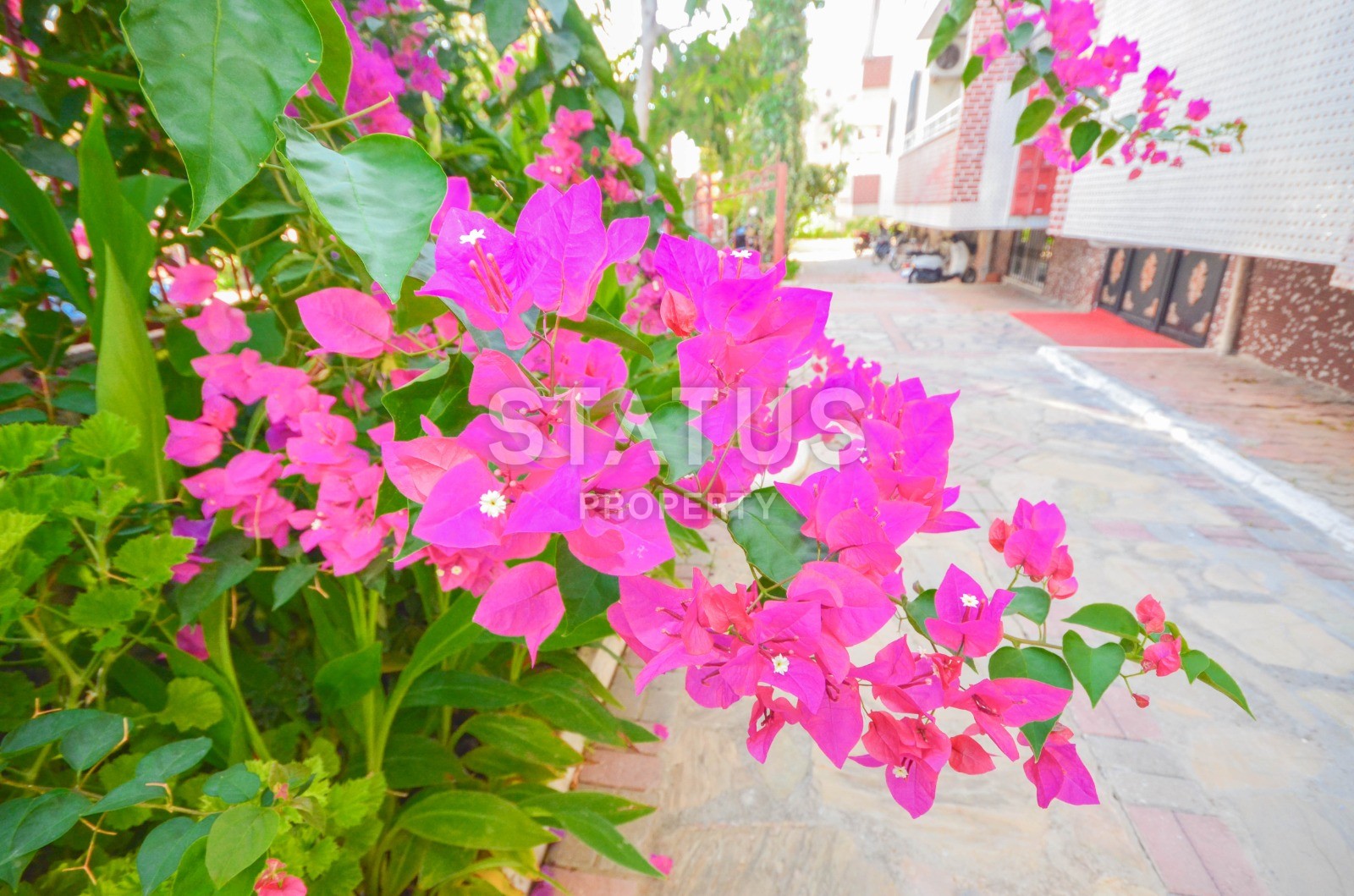 Большая трёхкомнатная квартира в Махмутларе фото 4