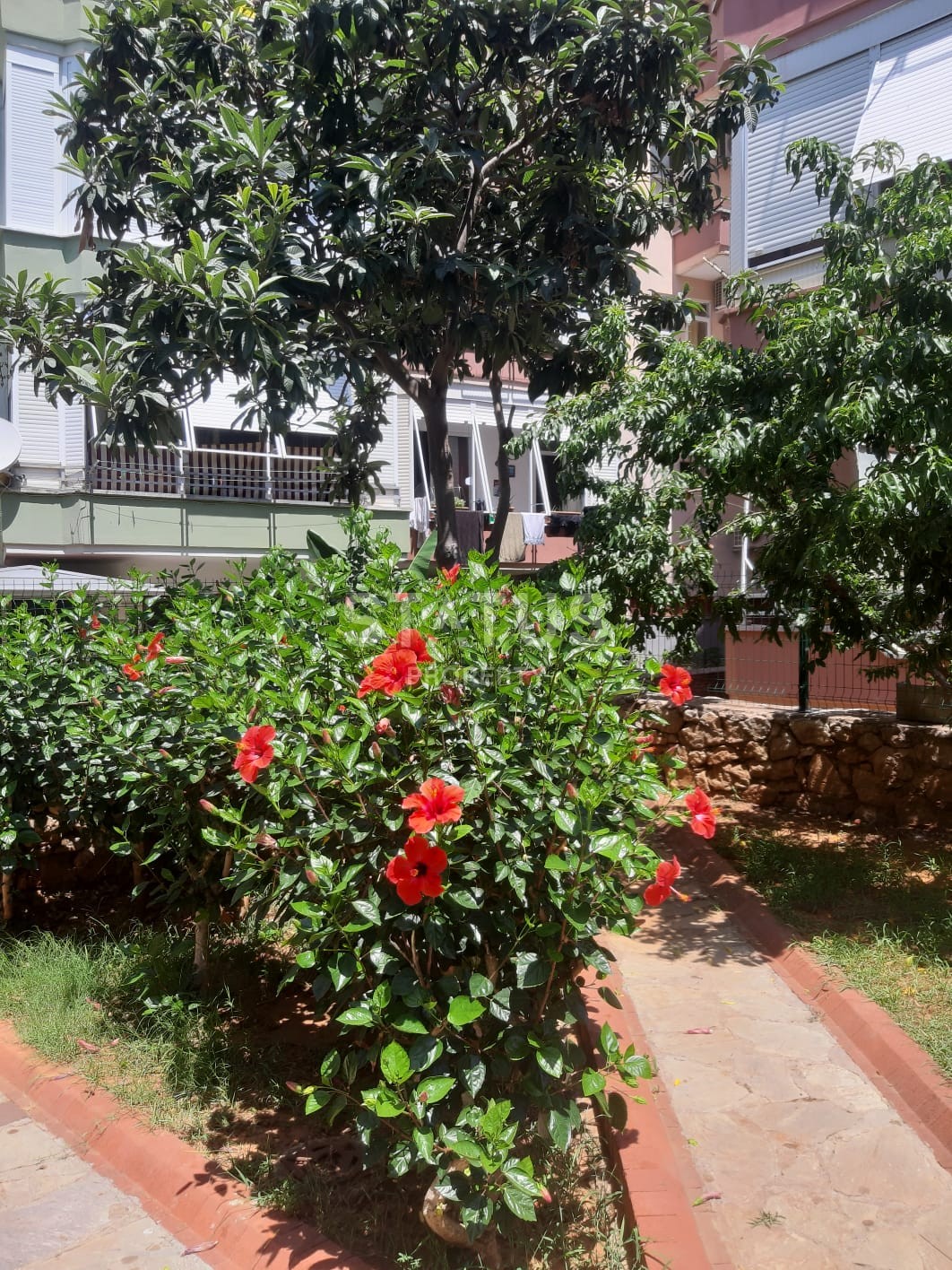 Недорогая квартира в центре города, 100 м2 фото 13