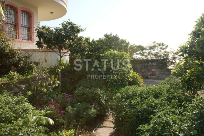 Apartment 3+1 with a panorama of the sea and Cleopatra beach! 140 sq.m. фото 6