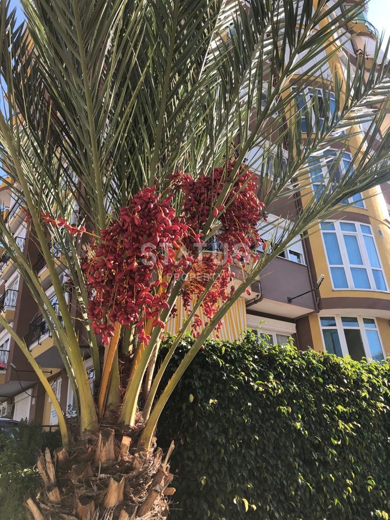 Апартаменты 3+1 с ремонтом в центре города, 200 м2 фото 28