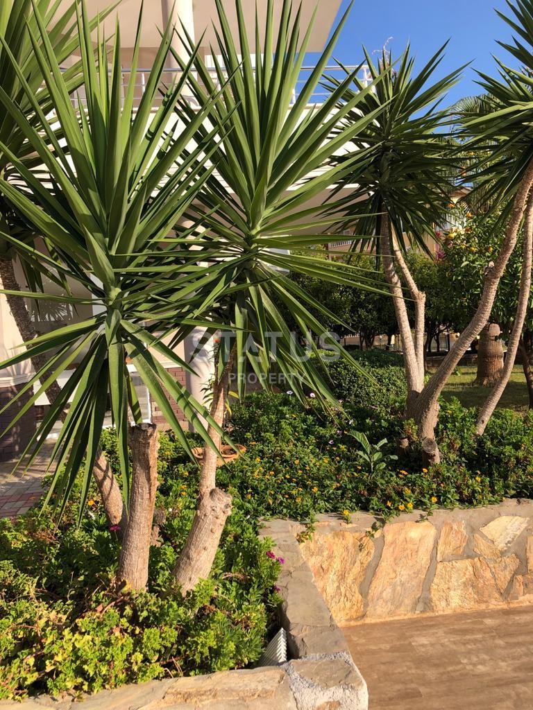 Две квартиры с мебелью в районе Джикджилли, 65 м2 фото 17