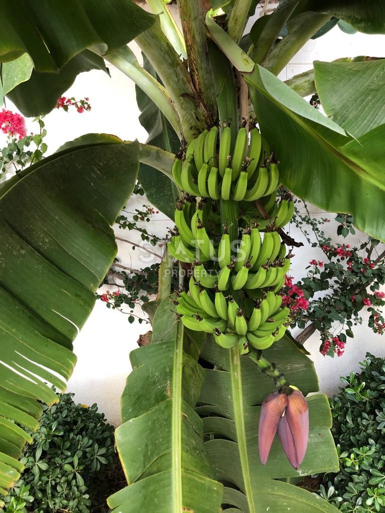 Две квартиры с мебелью в районе Джикджилли, 65 м2 фото 18