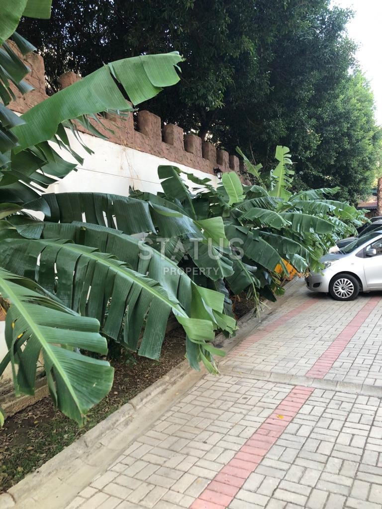 Две квартиры с мебелью в районе Джикджилли, 65 м2 фото 20