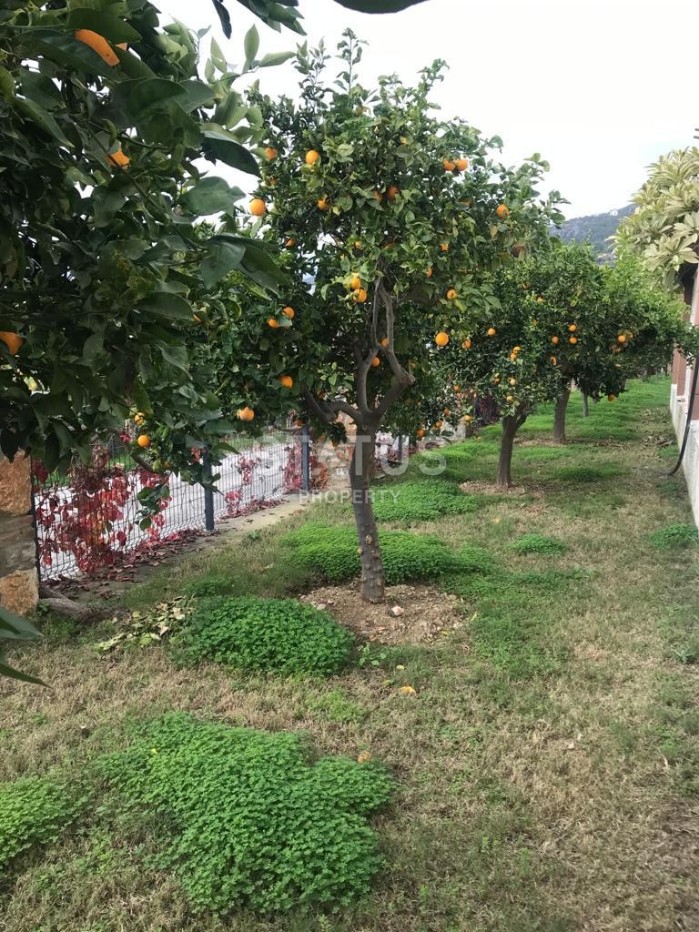 Elite apartment 1+1 in a luxury complex, 60 m2. Cikcilli, Alanya. фото 10