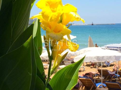 Апартаменты 1+1 с видом на море, 65 м2. Авсаллар, Алания. фото 10