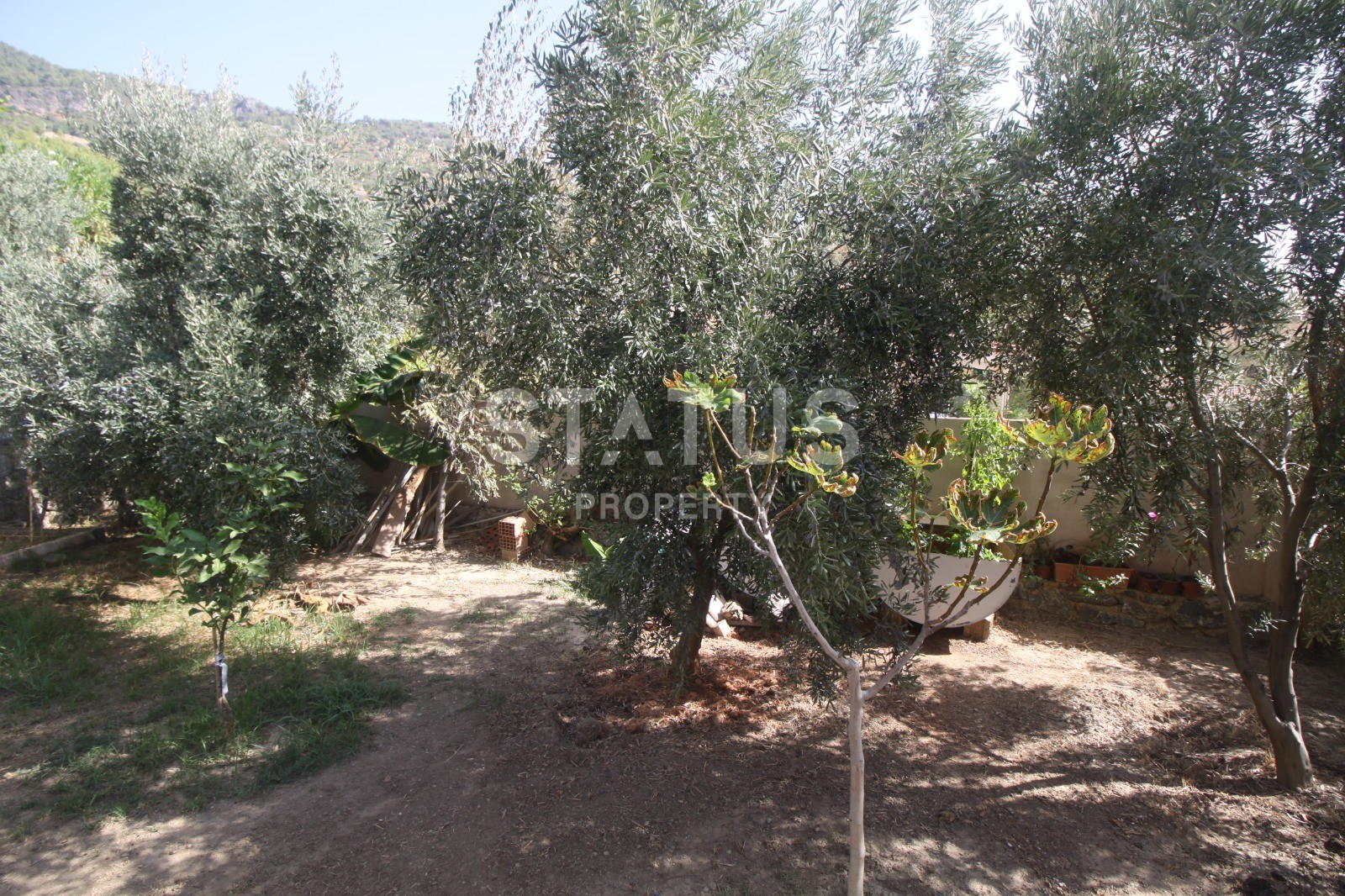 Villa 2+1 with pool and garden, 730 m2. Both, Alanya. фото 17