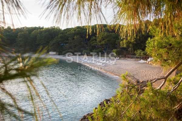 Investment project in the center of Avsallar, apartments at great prices. фото 23