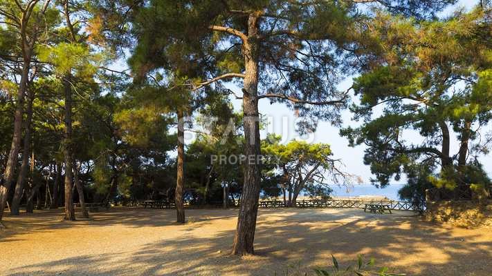 Investment project in the center of Avsallar, apartments at great prices. фото 24