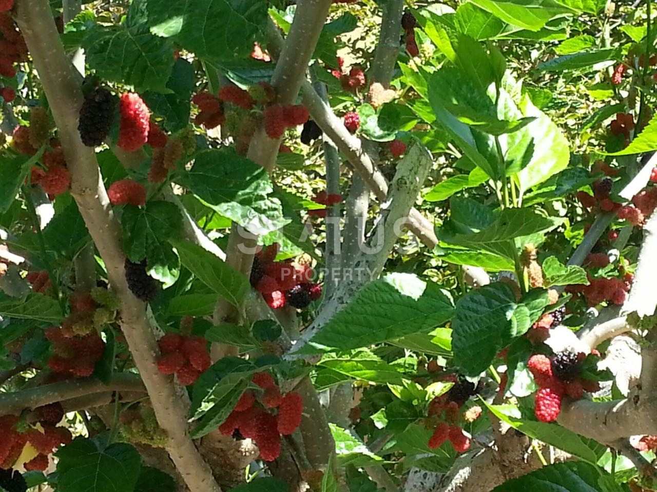 Уютная вилла 3+1 с собственным бассейном с шикарными видами на море и горы, 220 м2 фото 19