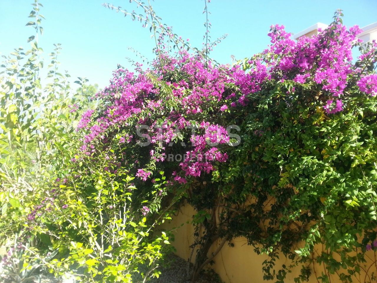 Уютная вилла 3+1 с собственным бассейном с шикарными видами на море и горы, 220 м2 фото 29