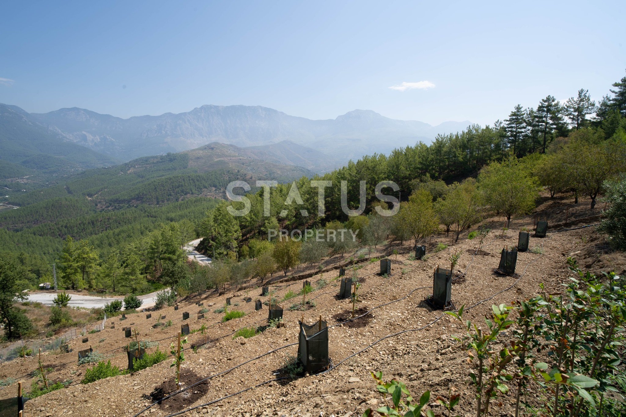 Two-storey house 2+1 on a plot of 2500 m2 in Demirtas, Alanya. фото 22