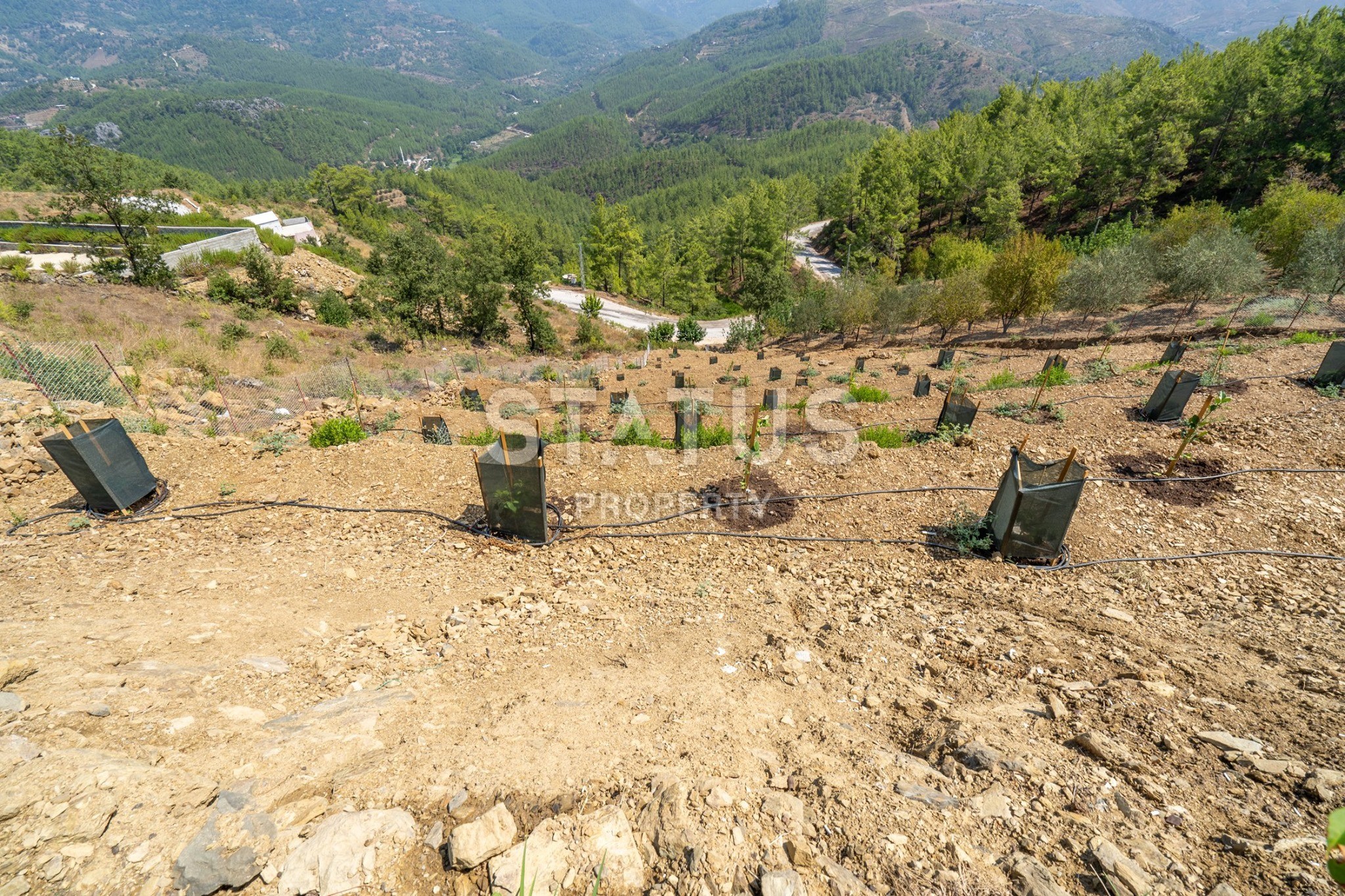 Two-storey house 2+1 on a plot of 2500 m2 in Demirtas, Alanya. фото 26